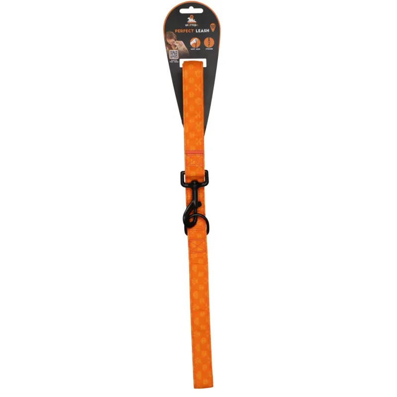 Spotted! Pro Perfect Leash 120 cm Orange – Hundeleine – Profi-Qualität