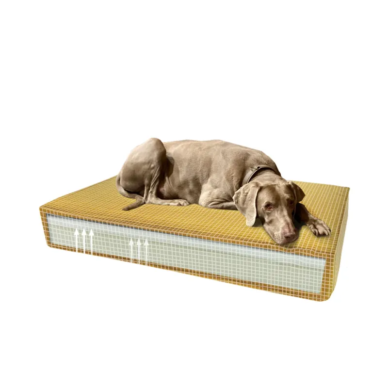 Madison Orthopädisches Hundebett Velvet Gelb S – Memory Foam