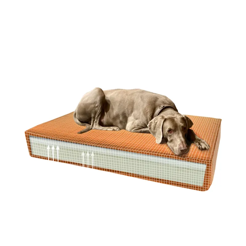 Madison Orthopädisches Hundebett Velvet Orange S – Memory Foam