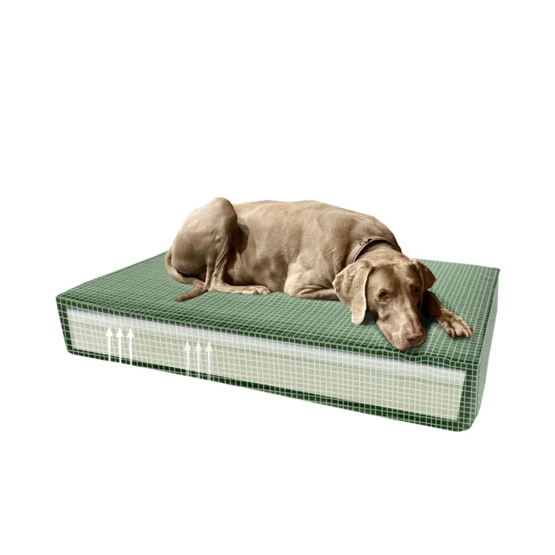 Madison Orthopädisches Hundebett Velvet Grün S – Memory Foam