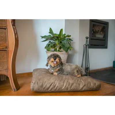 Let's Sleep Plush Pillow Hundebett M Cognac – Schaumstoffflocken