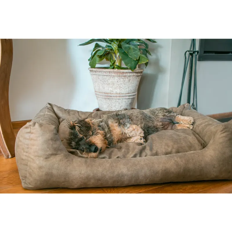 Let's Sleep Sweet Dreams Hundebett L Taupe – Mit Kissen