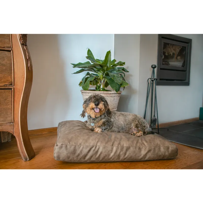 Let's Sleep Plush Pillow Hundebett M Taupe – Schaumstoffflocken
