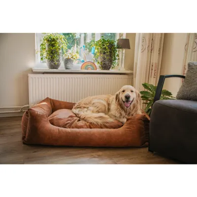 Let's Sleep Sweet Dreams Hundebett L Anthrazit – Mit Kissen
