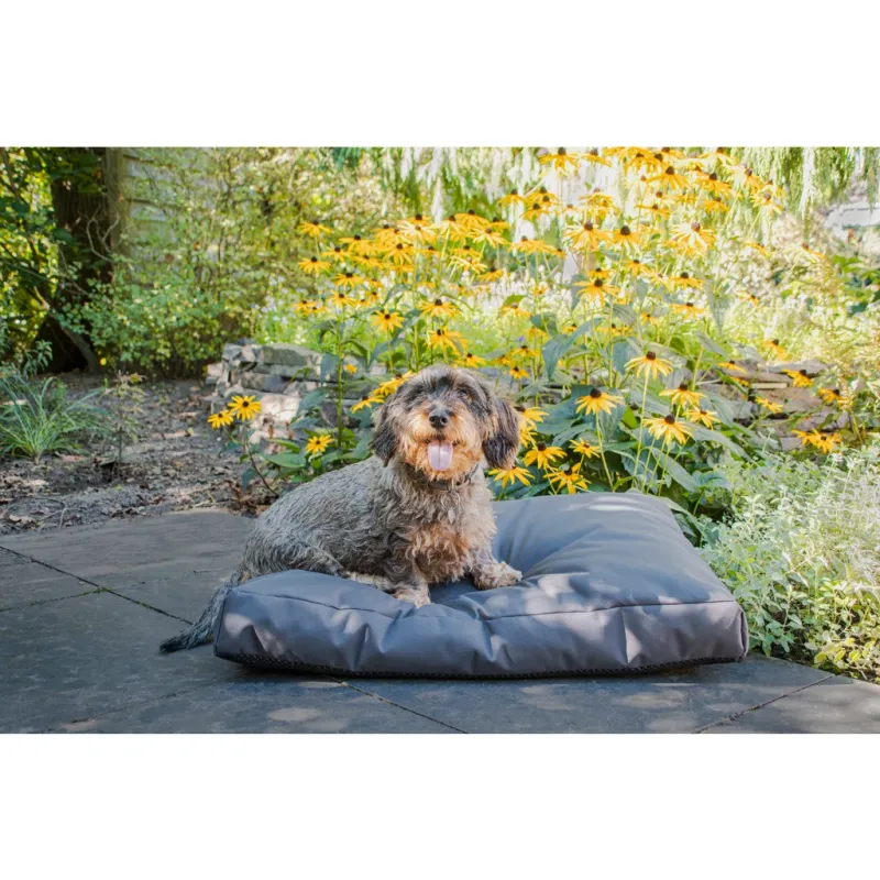 Let's Sleep Cushy Cloud Outdoor Hundebett M Anthrazit (80x55x10 cm)