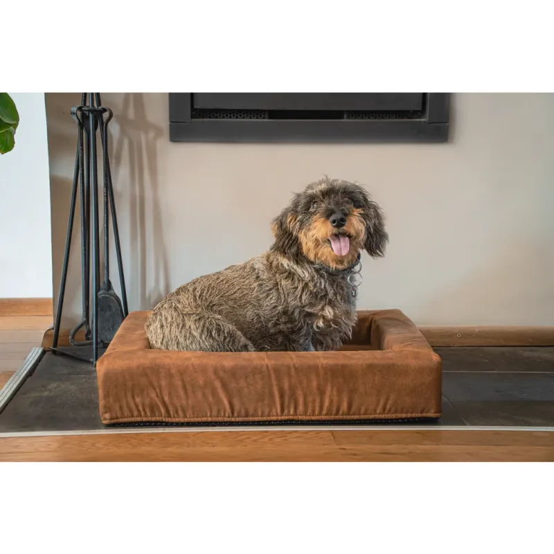 Let's Sleep Comfy Cushion Hundebett M Taupe – Lounge-Bett