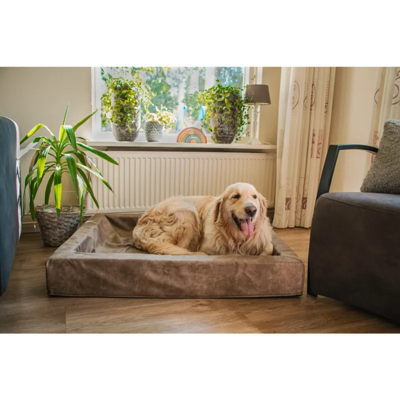 Let's Sleep Comfy Cushion Hundebett L Cognac – Lounge-Bett