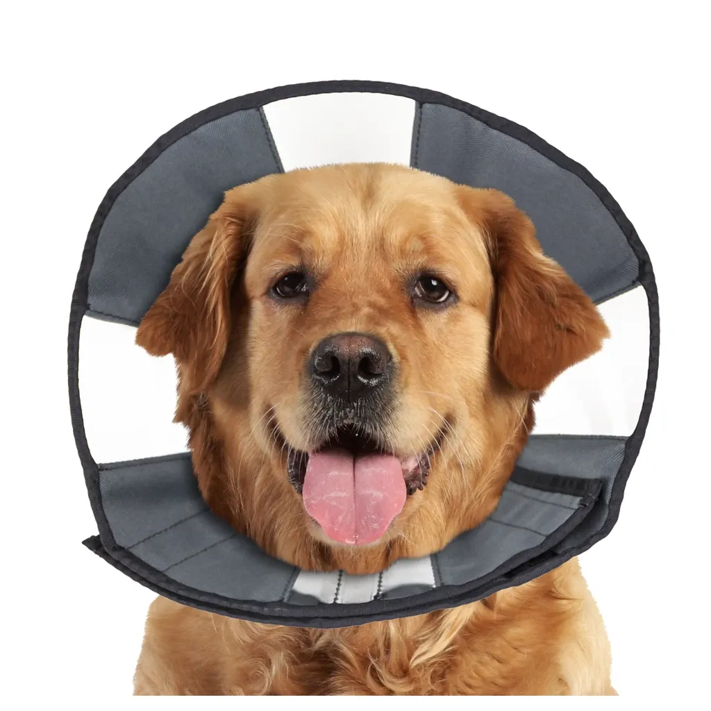 Zenpet Procone XL – Halskrause – Schutz – Genesung