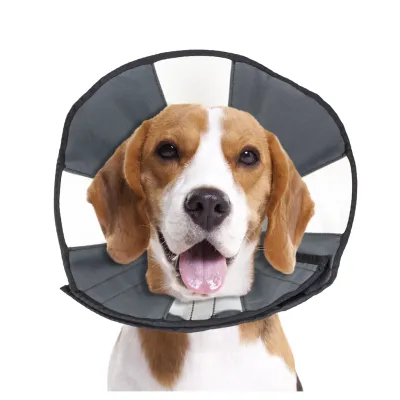 Zenpet Procone M – Halskrause – Schutz – Genesung