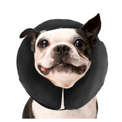 Zenpet ProCollar M – Halskrause – Schutz – Genesung