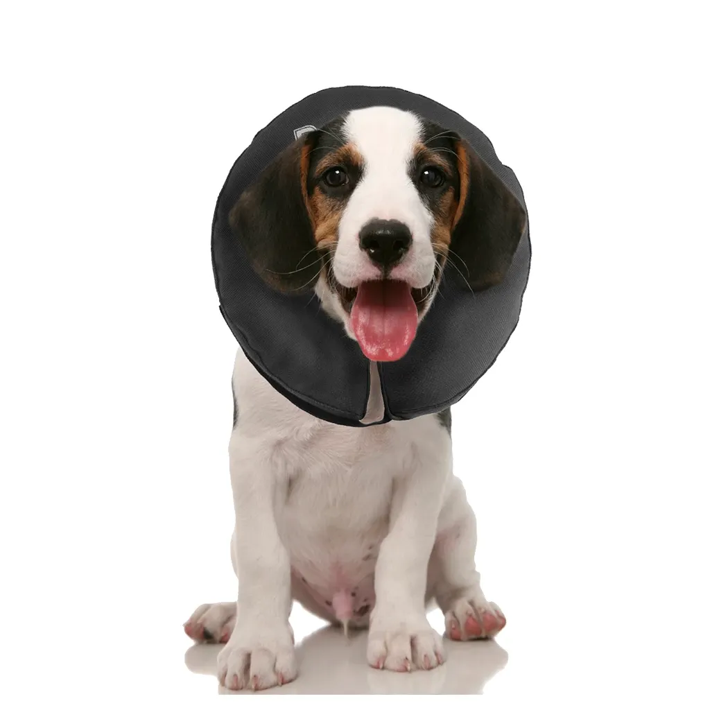 Zenpet ProCollar XS – Halskrause – Schutz – Genesung