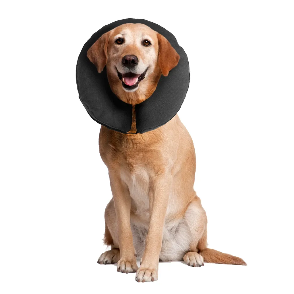 Zenpet ProCollar XL – Halskrause – Schutz – Genesung