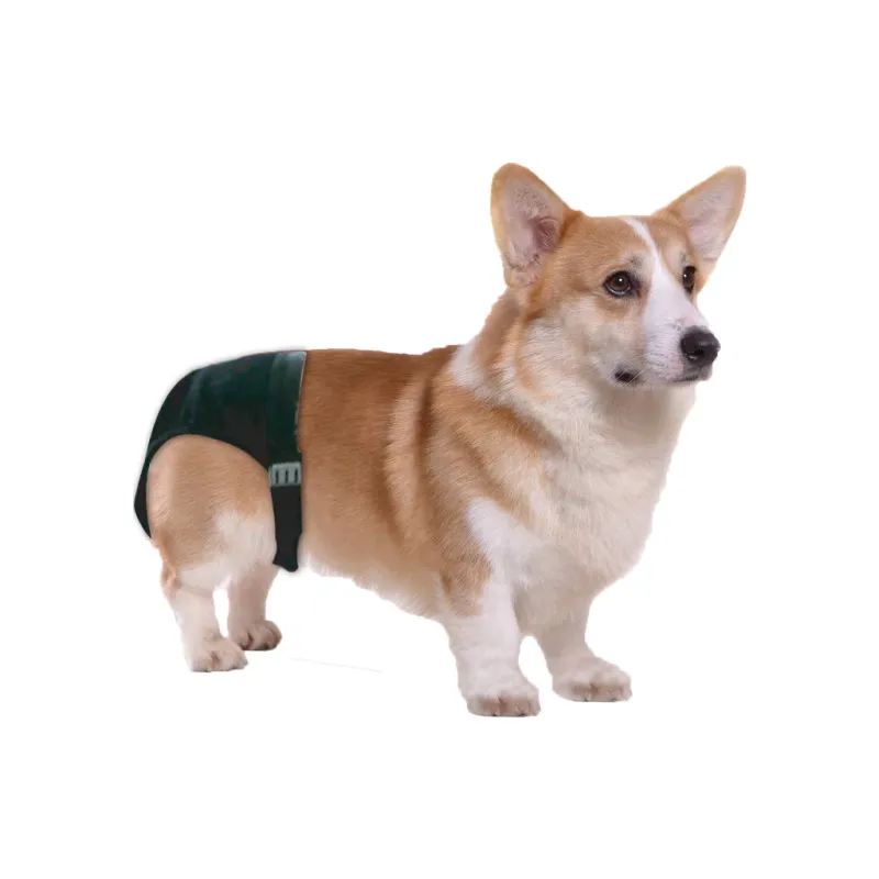 Pawise Hundewindel Sanitary Pants XS – Schutzhose – Hund