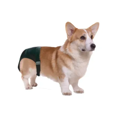 Pawise Hundewindel Sanitary Pants XS – Schutzhose – Hund