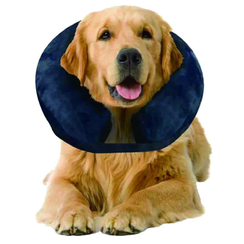 Pawise Inflatable Protective Collar S – Halskrause – Genesung
