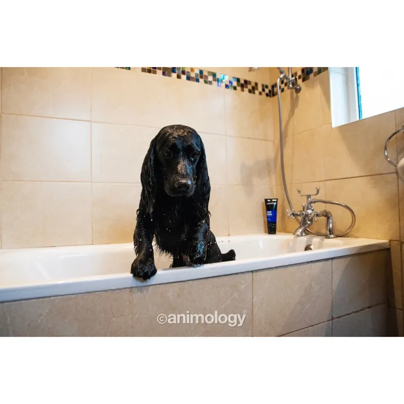 Animology Top Dog Conditioner 250 ml – Pflegespülung – Hunde