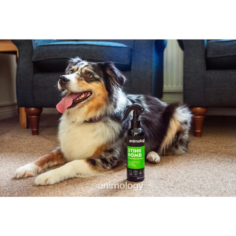 Animology Stink Bomb Deodorising Dog Spray 250 ml – Geruchsentferner