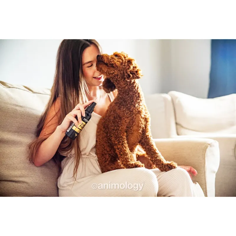 Animology Star Pups Body Mist 150 ml – Körpernebel – Hunde