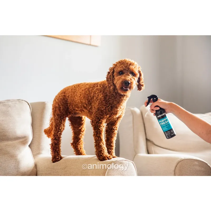 Animology Puppy Fresh Welpen-Deo Puppy Spray 250 ml – Geruchsentferner