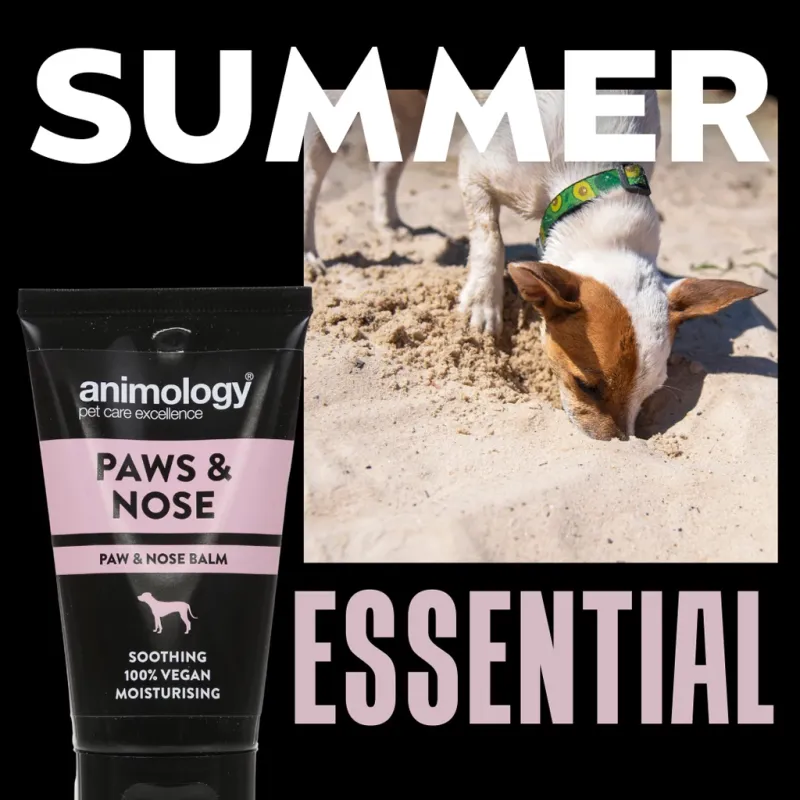 Animology Paws & Nose Balm 50 ml – Pfoten- & Nasenbalsam – Hunde