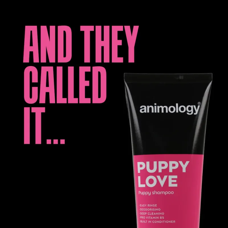 Animology Puppy Love Welpen-Shampoo 250 ml – Mild – Tiefenreinigend
