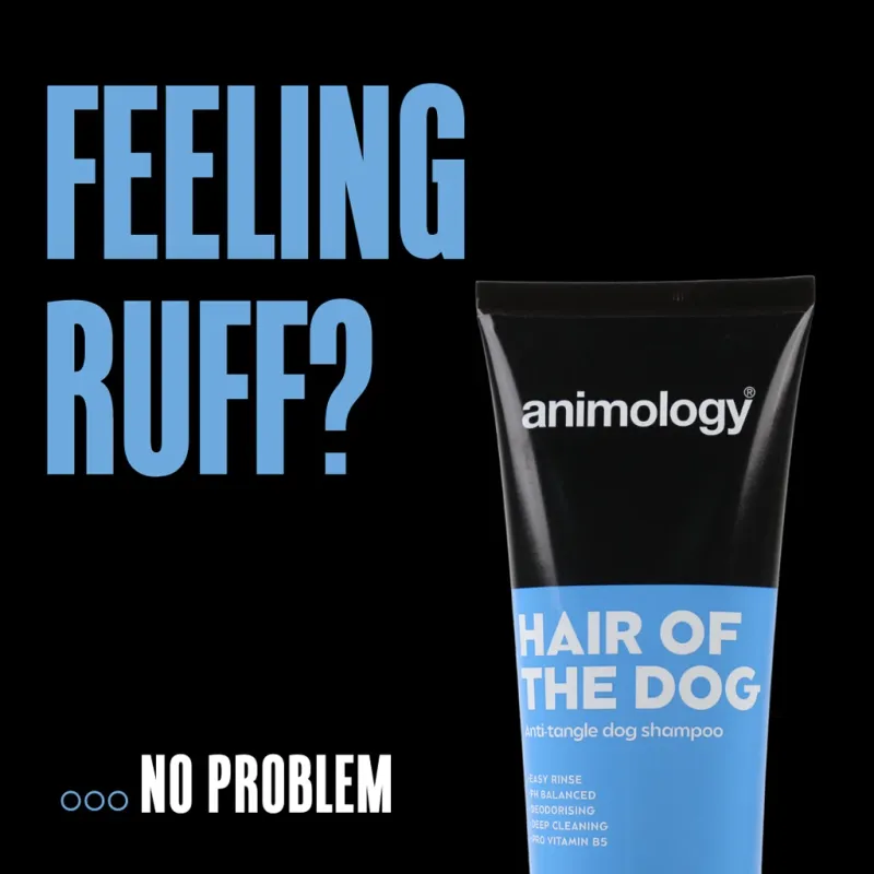 Animology Hair Of The Dog Anti-Tangle Dog Shampoo 250 ml – Entwirrungsshampoo