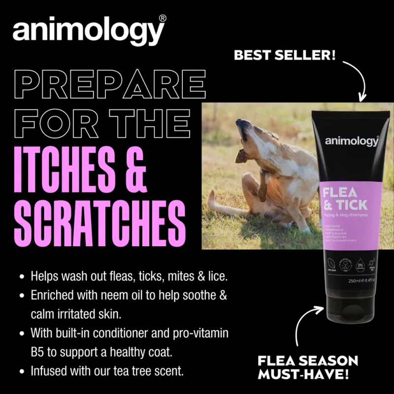 Animology Flea & Tick Dog Hunde-Shampoo 250 ml – Floh- & Zeckenshampoo