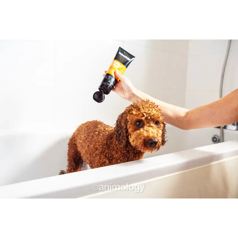 Animology Curly Coat Dog Hunde-Shampoo 250 ml – Lockiges Fell – Tiefenreinigung