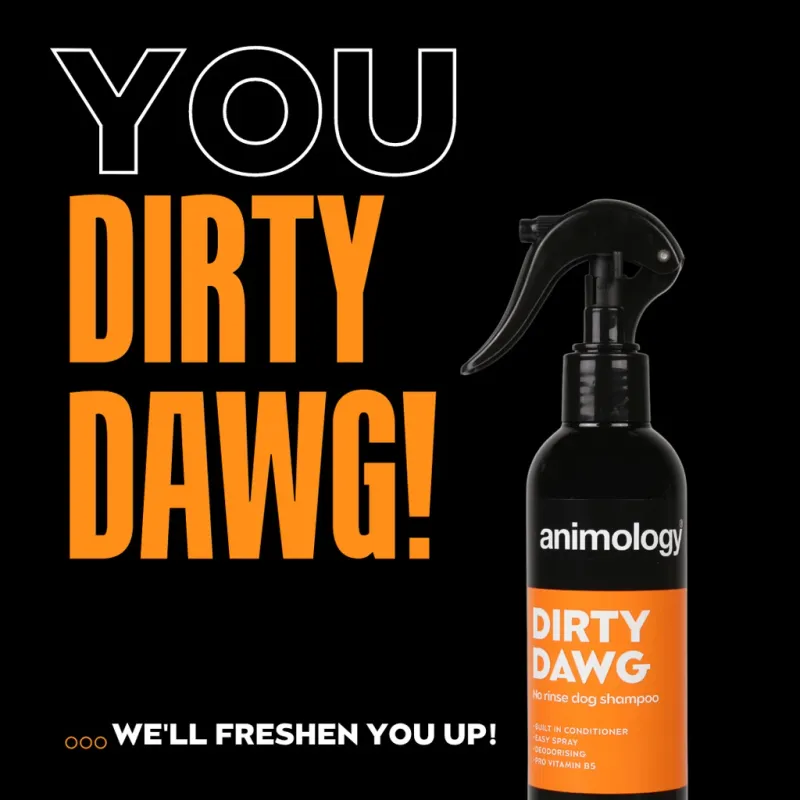 Animology Dirty Dawg No Rinse Dog Hunde-Shampoo 250 ml – Shampoo-Spray