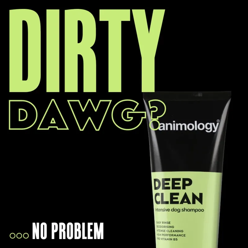 Animology Deep Clean Intensive Dog Hunde-Shampoo 250 ml – Tiefenreinigung