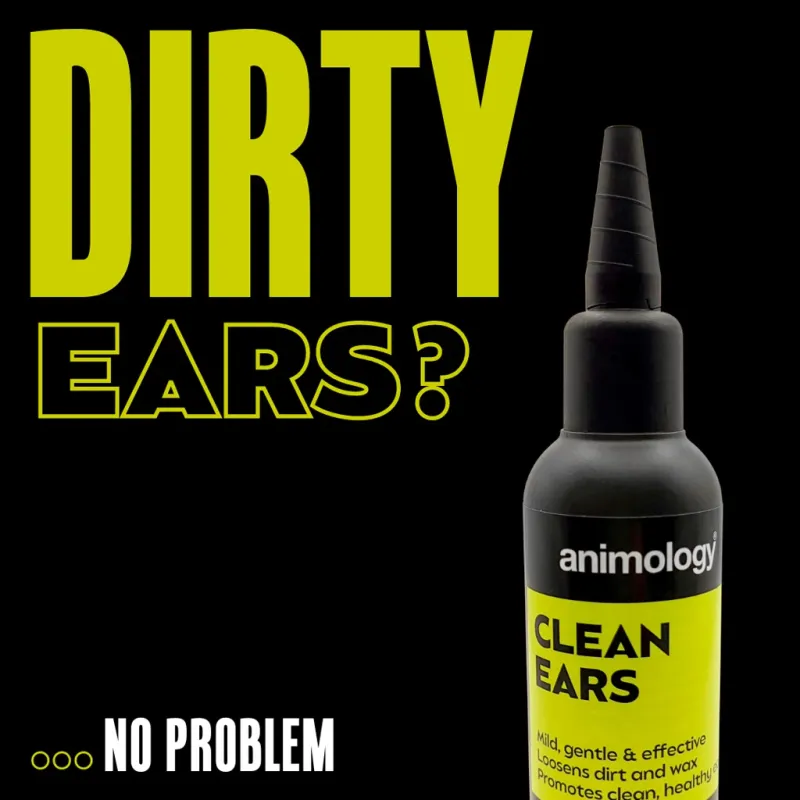 Animology Clean Ears 100 ml – Ohrenreiniger – Hunde