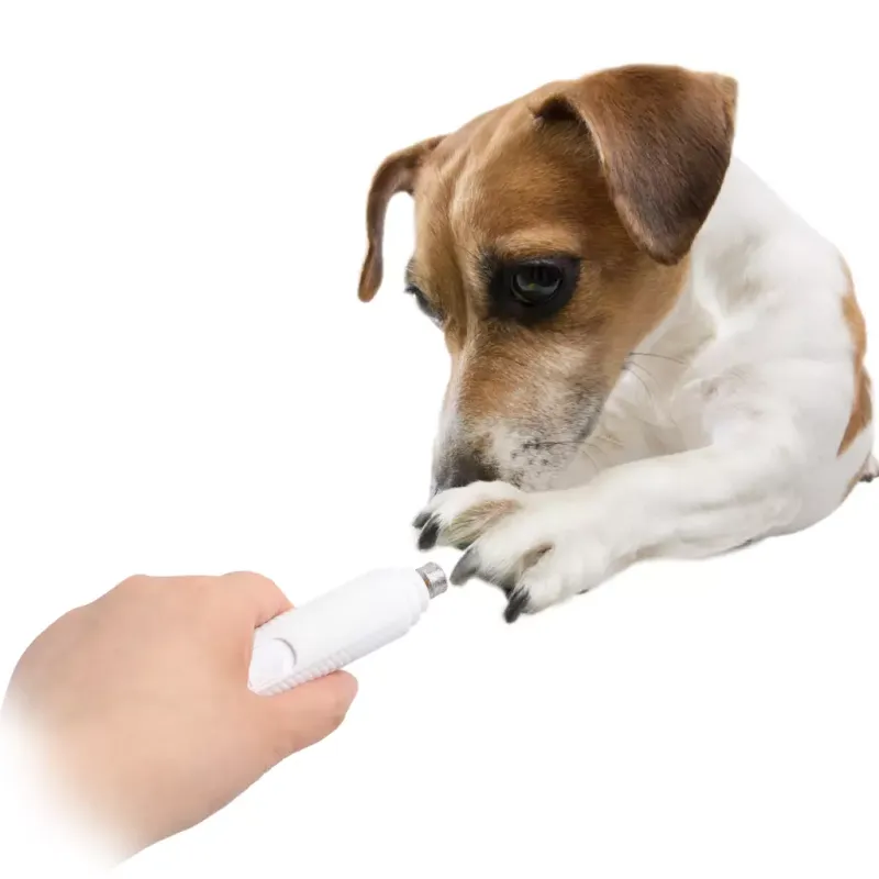 AFP Pet Salon Nail Grinder – Nageltrimmer zum Trimmen der Krallen – Batteriebetrieben – Haustiere