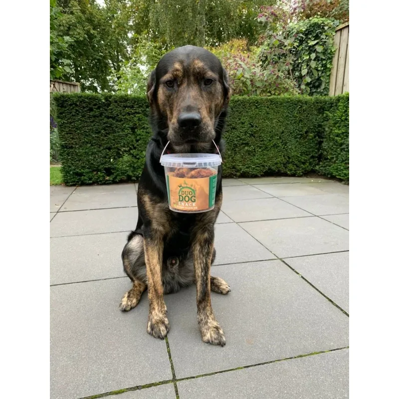 Duo Dog Hunde Snacks 350 g – Gebackenes Pferdefett – Hunde
