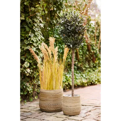 Moro-Körbe Rattankorb 2er-Set | Natur