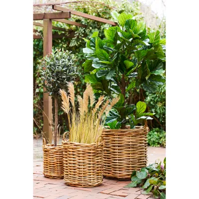 Burton-Körbe Rattankorb 3er-Set | Natur
