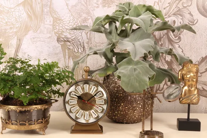 Uhrentrophäe Alain Messing Gold Ø17,5 cm 27x21x13 cm
