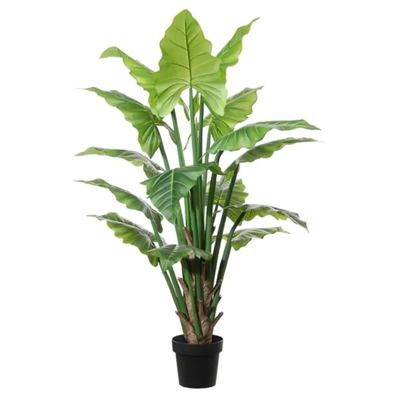 Künstliche Colocasia Kunstpflanze Grün H150 cm Colocasia Kunstpflanze, Elefantenohr im Topf, grün, H150cm im tropischen Stil.