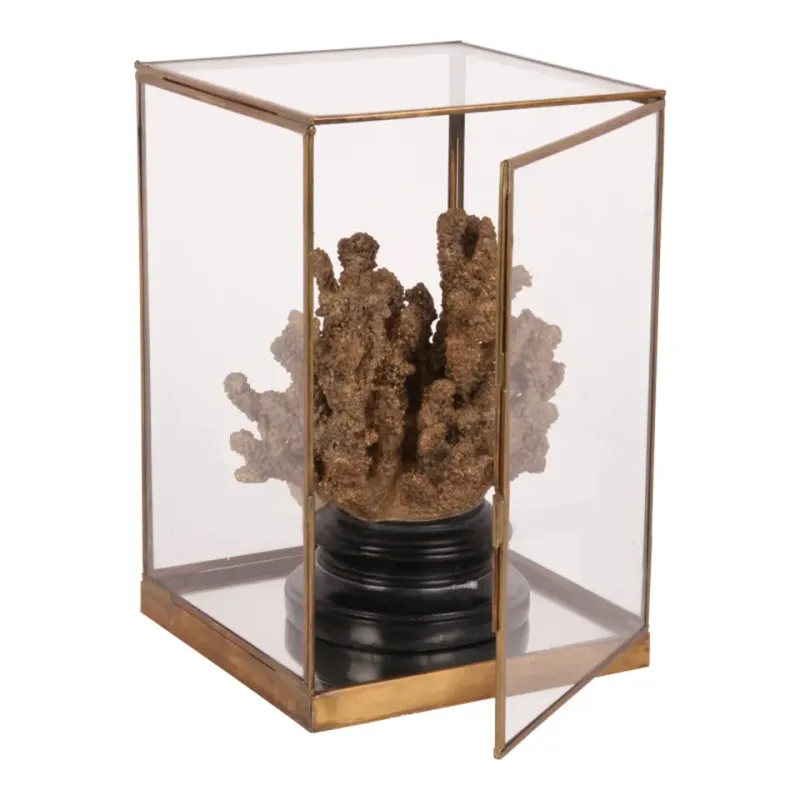 Vitrine / Displaybox 40 cm Gold aus Messing und Glas
