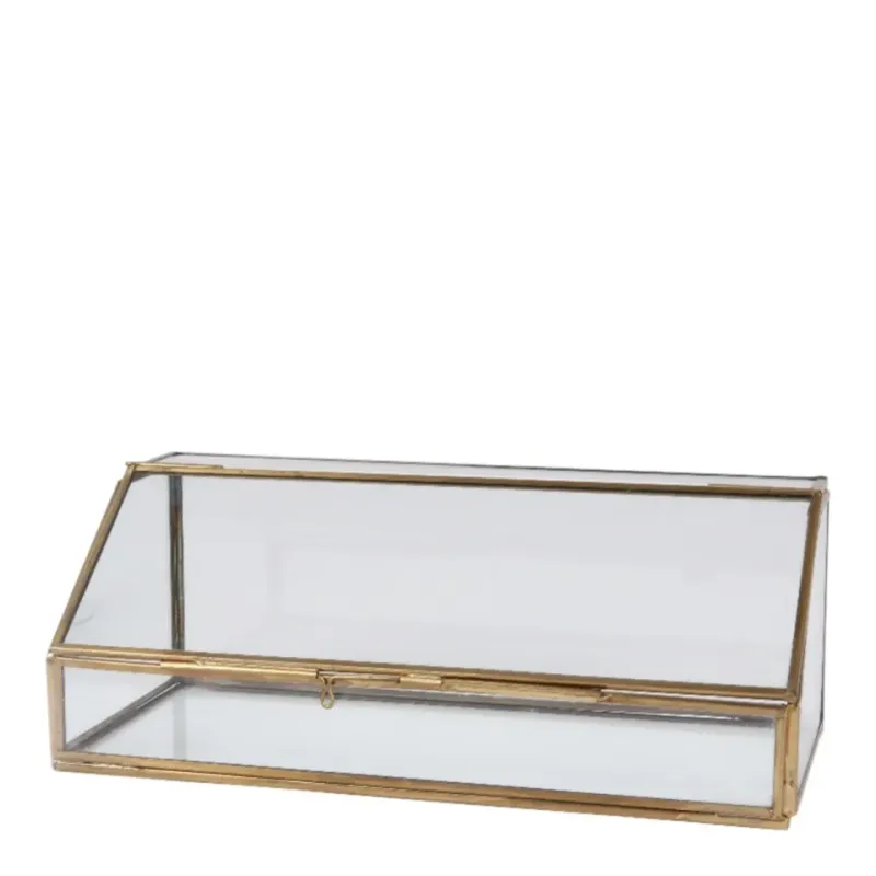 Präsentationsbox Vitrine 30x12 cm in Gold Goldene Präsentationsbox 30x12 cm aus Glas mit dekorativem Metallrahmen