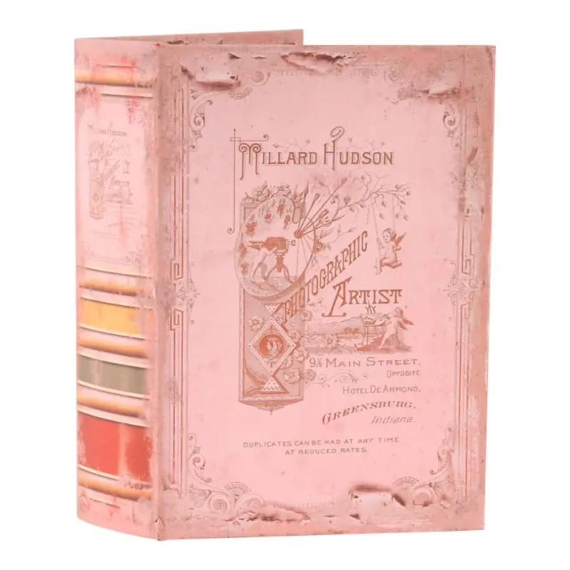 Aufbewahrungsbox - Vintage-Buch «Photographic Artis», 27 cm, in Rosa Rosafarbene Aufbewahrungsbox in Buchform mit Vintage-Motiv rund um Fotografie und Kunst