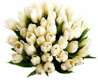 Ramo de Tulipanes Blancos