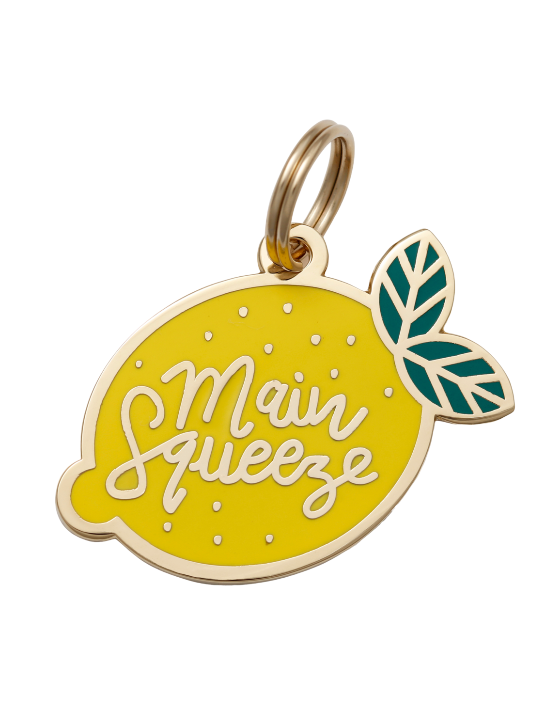 Pet ID Tag - Main Squeeze