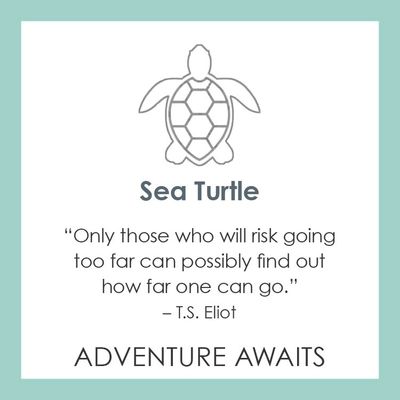 LOLA Sea Turtle Pendant, Seafoam/Mini