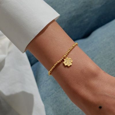 A Little 'Lucky Charm' Bracelet