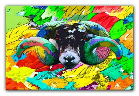 Punky Sheep