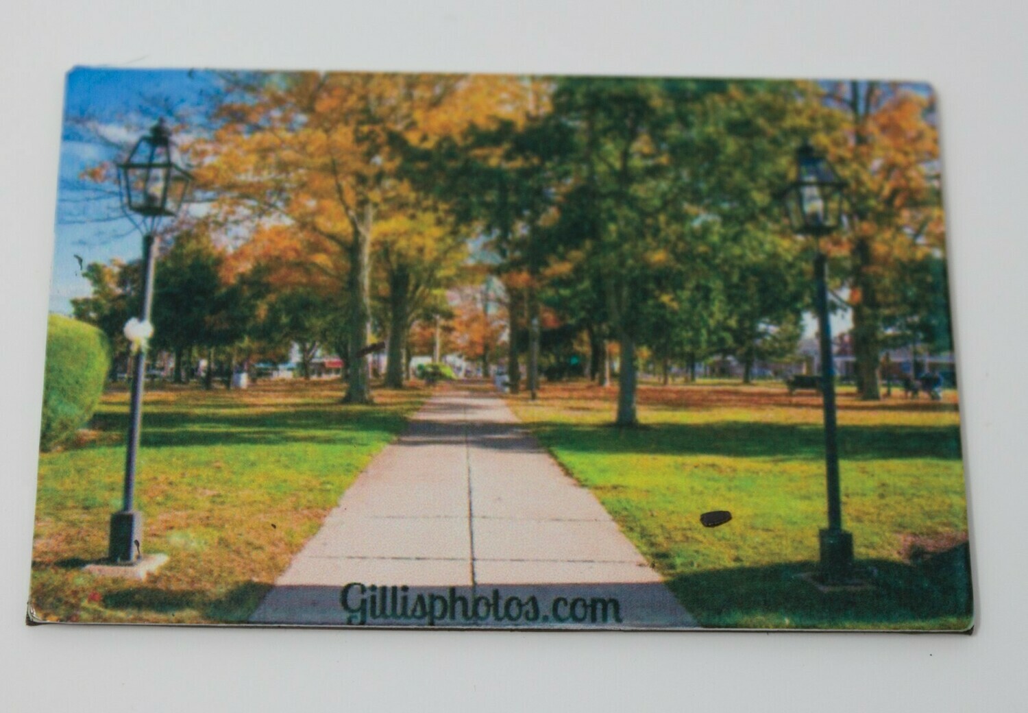 Special Order --Foxboro Gallery-2"x 3" Photo Magnet
Foxboro Common in Autumn