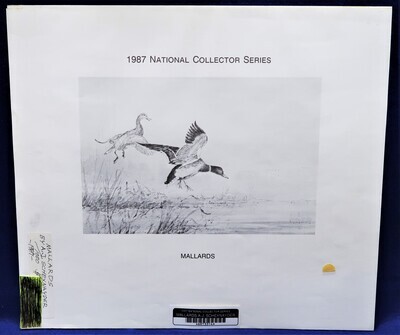 1987 NATIONAL COLLECTOR SERIES PINTAILS A.J. SCHEXNAYDER