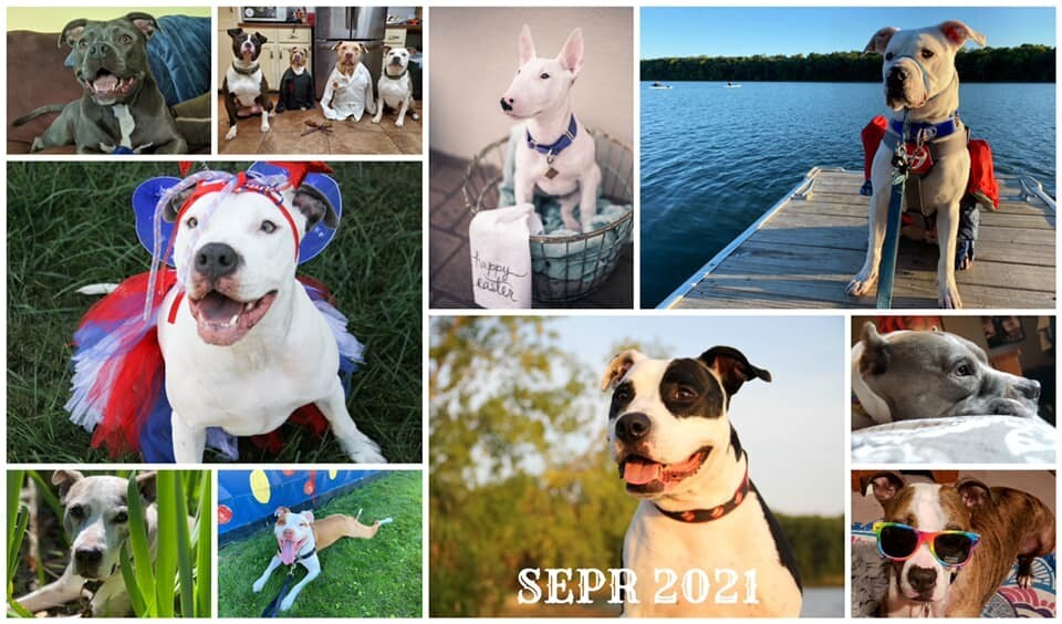 2021 Calendar