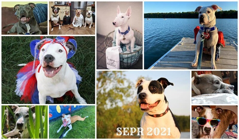 2021 Calendar
