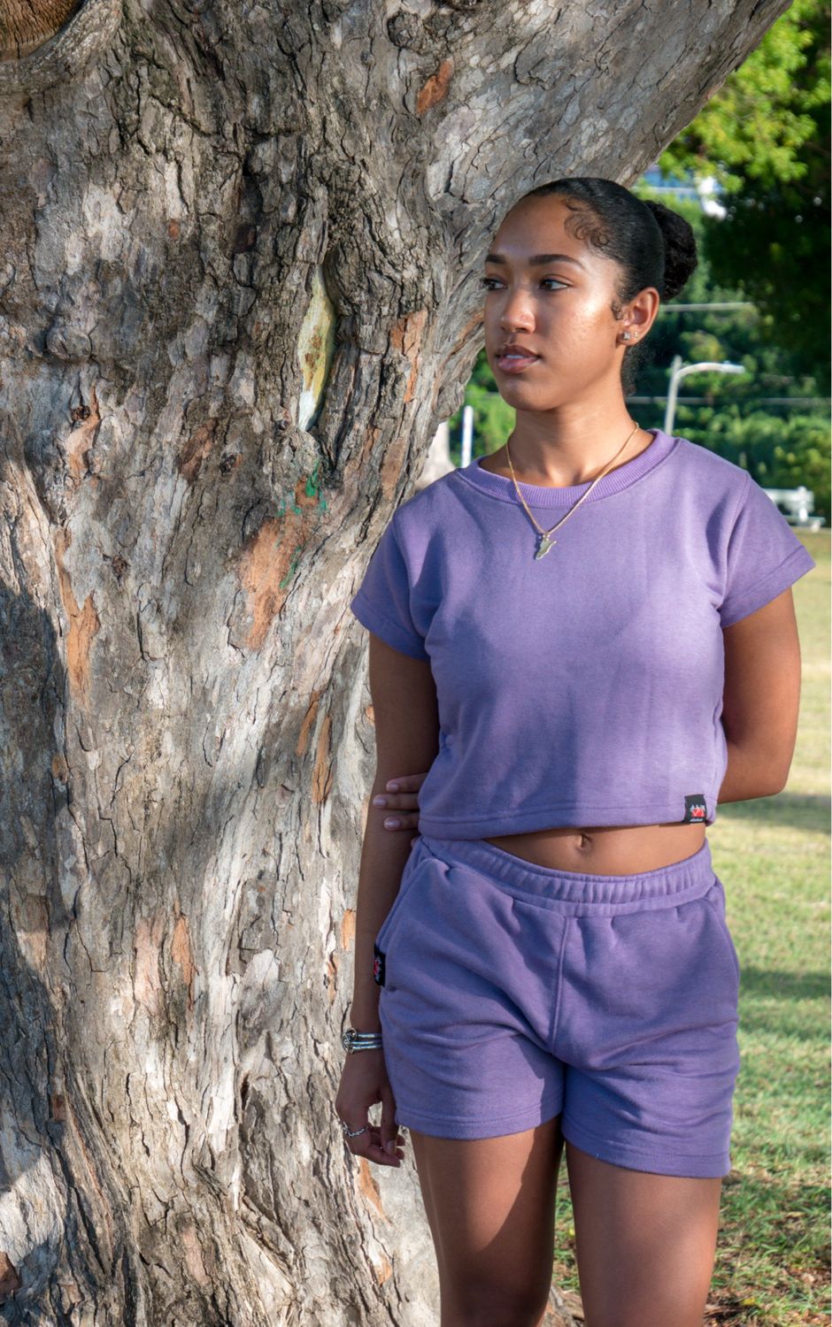 Lavender Crop Top Set